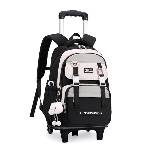Travel Rolling Luggage backpac - огляд і ціна Foldable Rolling Luggage Bag